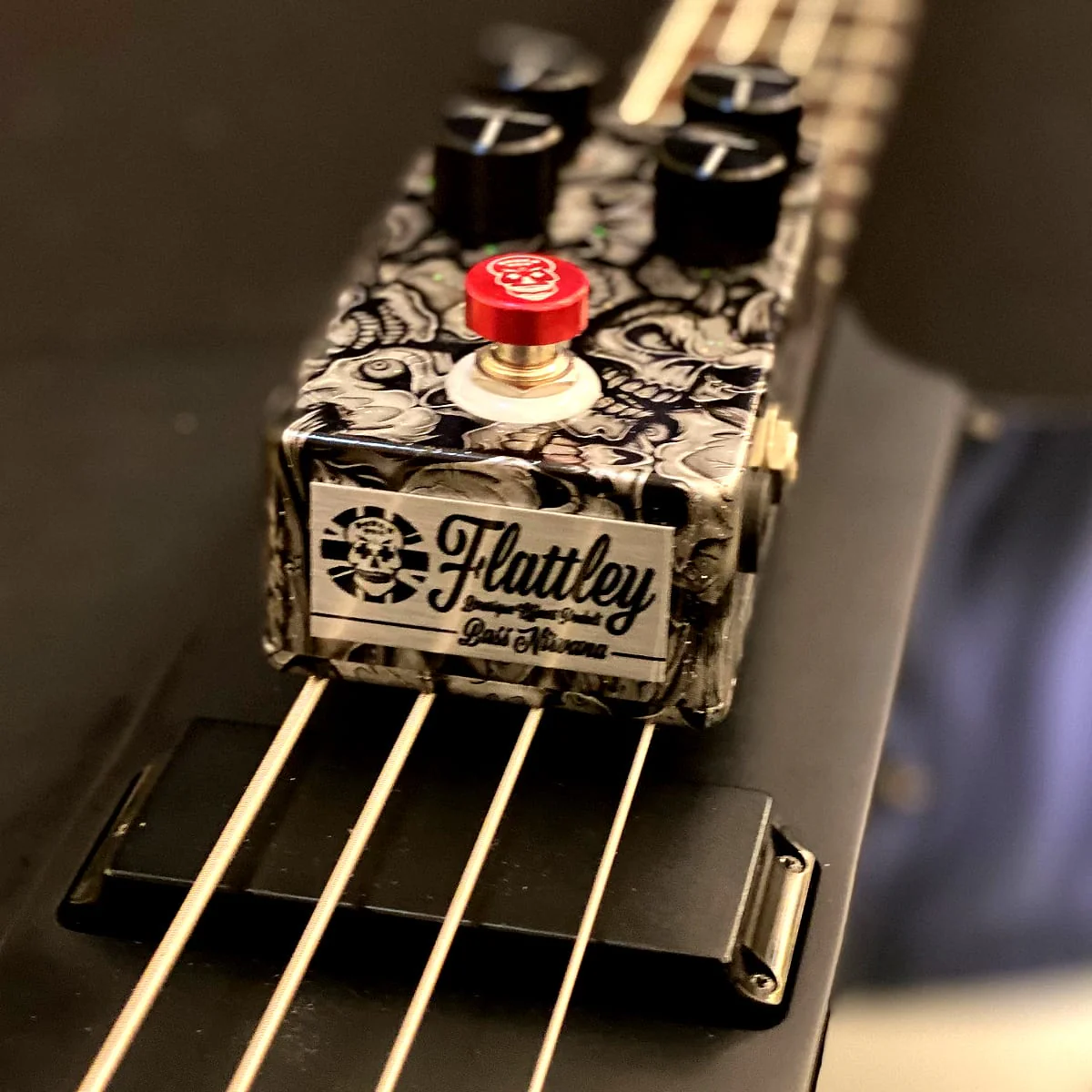Flattley Guitar Effect Pedals Platinum Series Bass Nirvana Analogue Delay Bass Pedal - Image 2