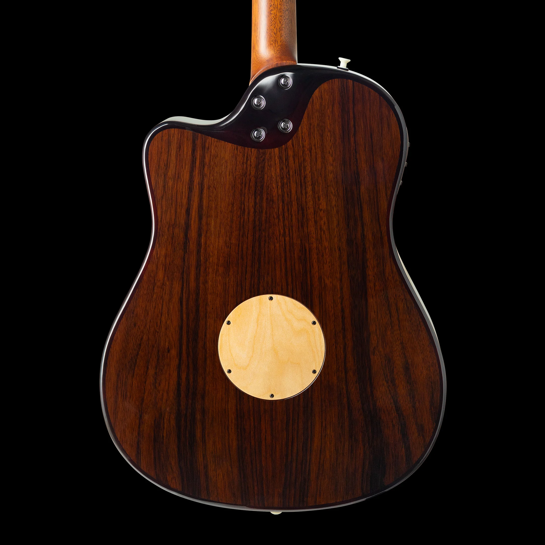 LR Baggs AEG-1 Sunburst Acoustic Electric Guitar With Softshell Case - Image 2
