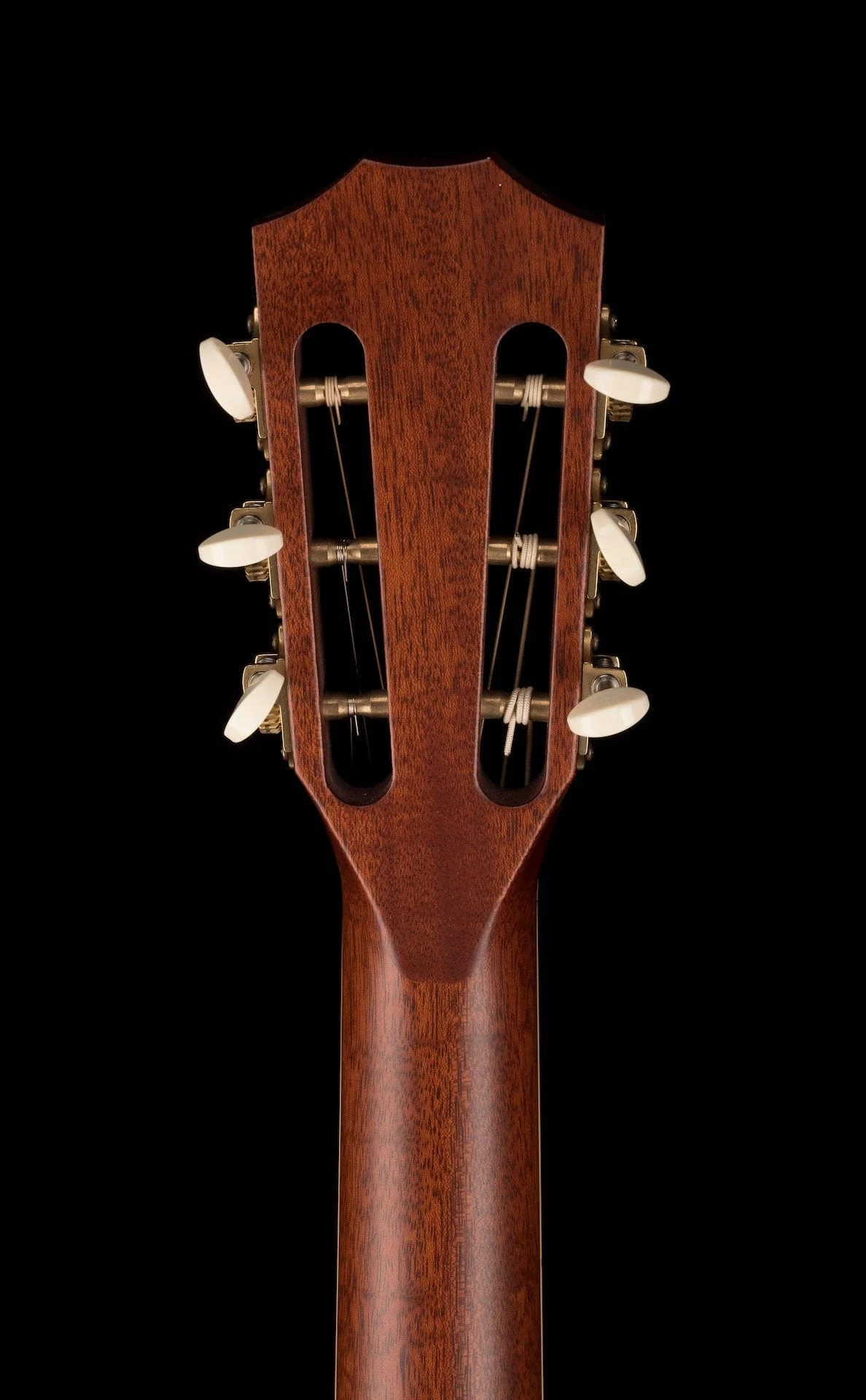 Pre Owned Taylor GC-LTD-B Grand Concert Brazilian Rosewood Acoustic Guitar With OHSC - Image 18