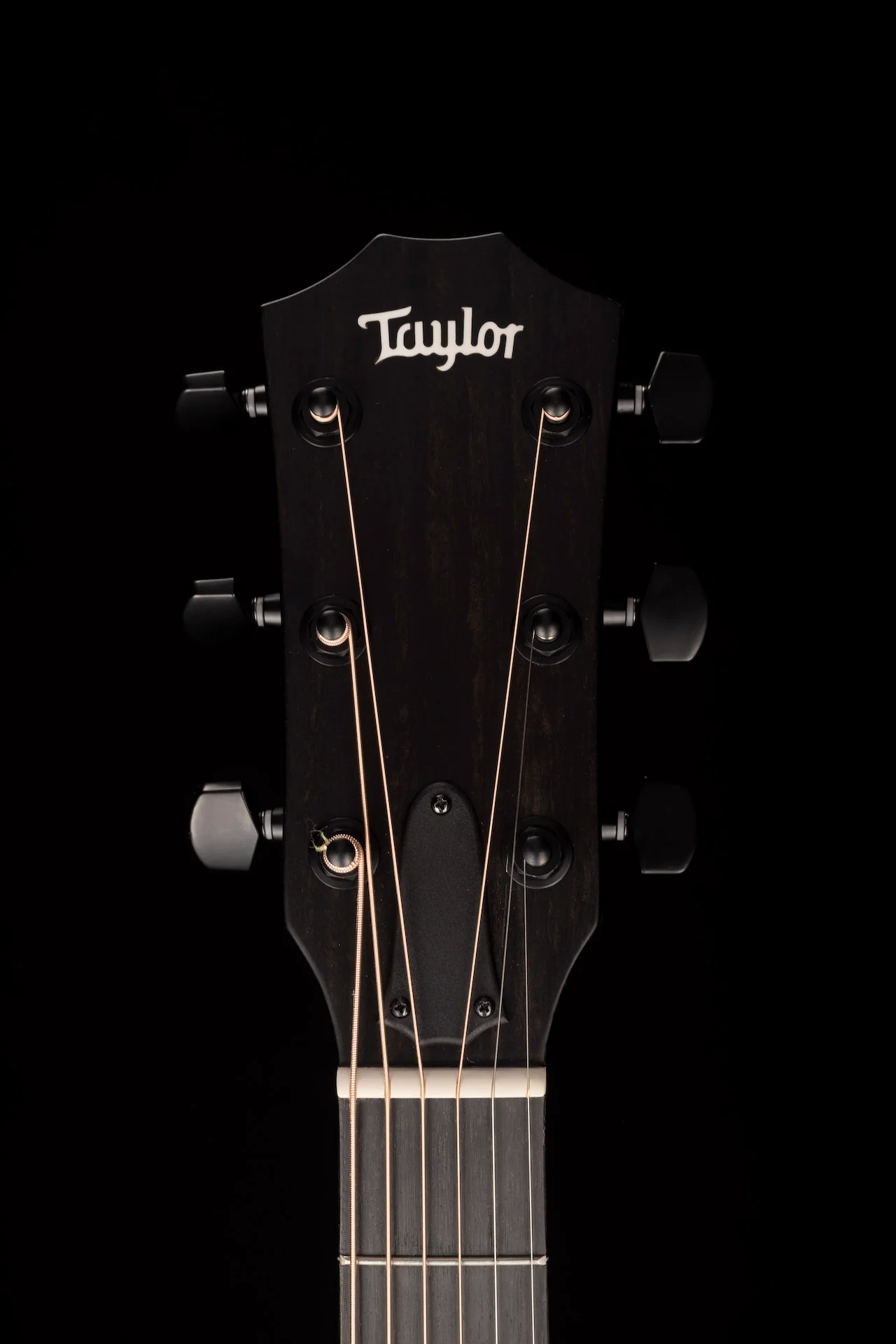 Taylor 214ce DLX LTD Trans Grey Acoustic Electric Guitar With Case - Image 13