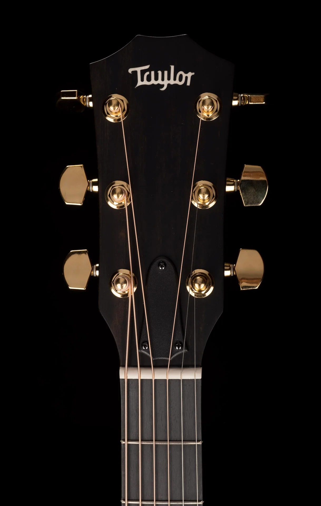 Taylor 224ce-UA DLX LTD Acoustic Electric Guitar With Case - 2022 - Serial # 2208052217 - Image 12