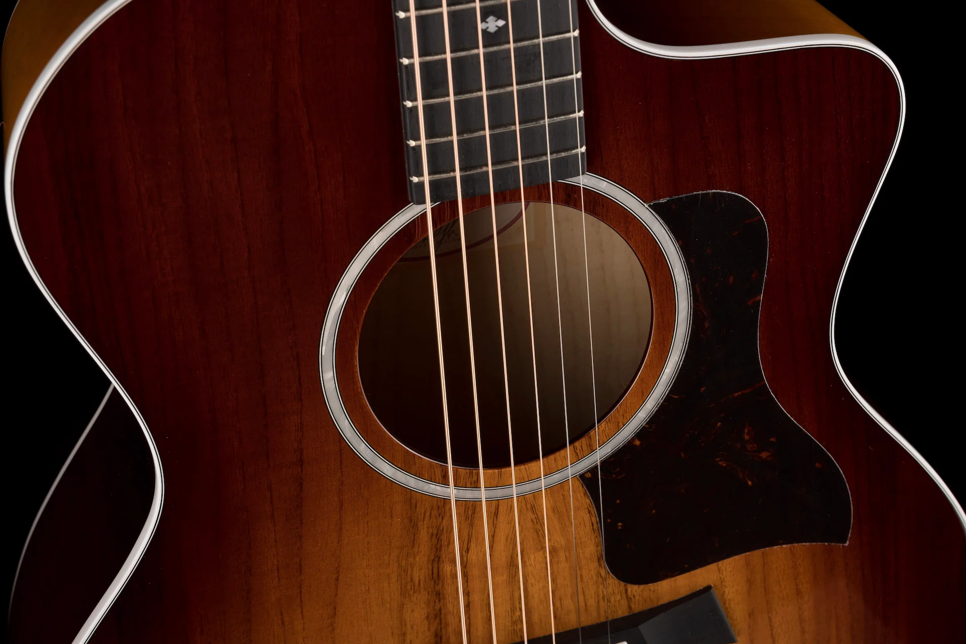 Taylor 224ce-UA DLX LTD Acoustic Electric Guitar With Case - 2022 - Serial # 2208052217 - Image 7