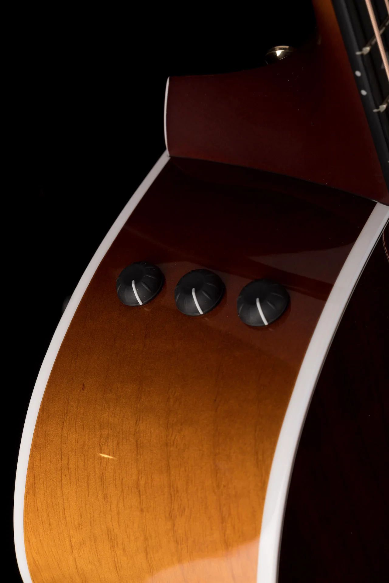 Taylor 224ce-UA DLX LTD Acoustic Electric Guitar With Case - 2022 - Serial # 2208052217 - Image 9