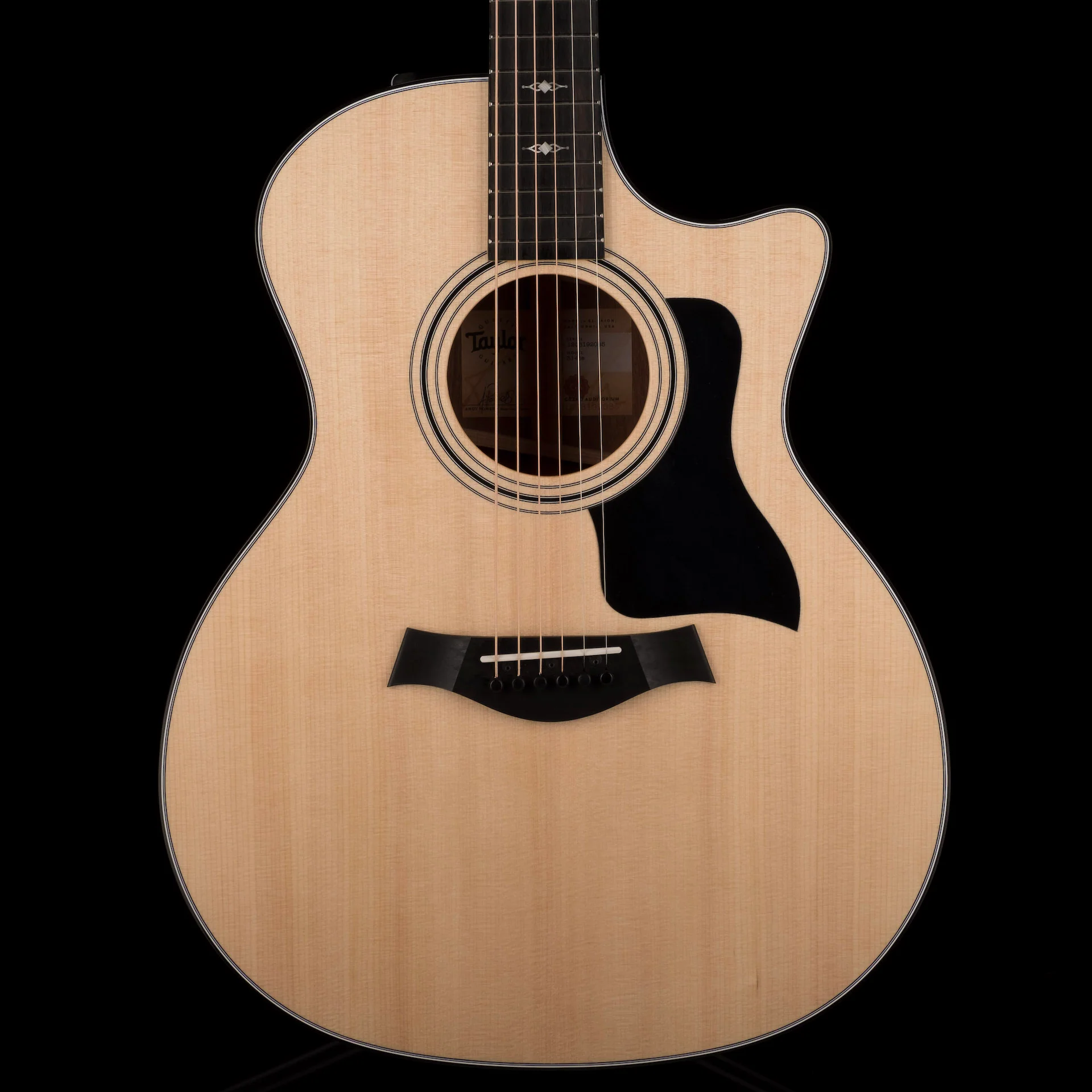 Taylor 314ce Grand Auditorium Acoustic Electric Guitar With Case - Demo