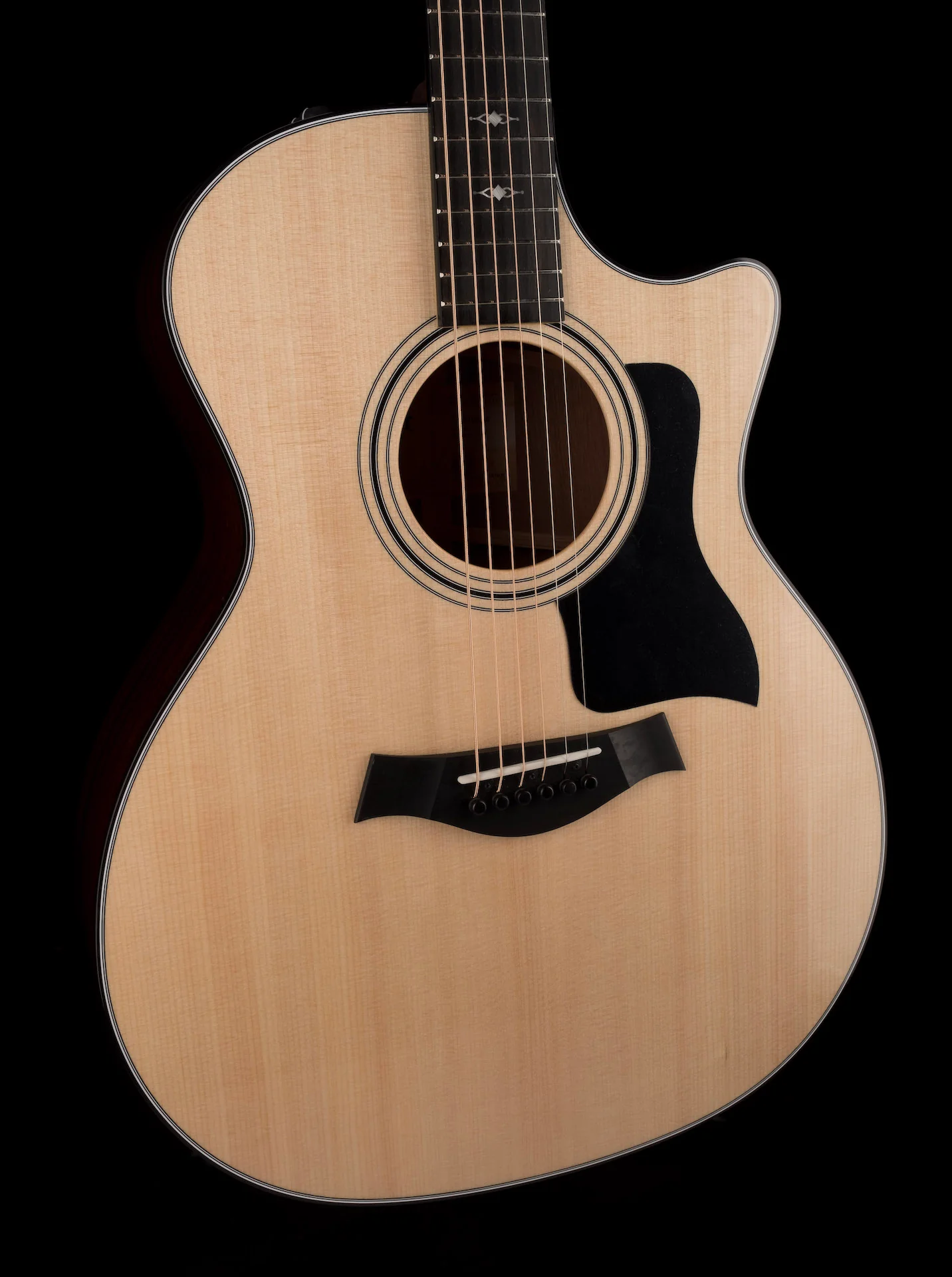 Taylor 314ce Grand Auditorium Acoustic Electric Guitar With Case - Demo - Image 11
