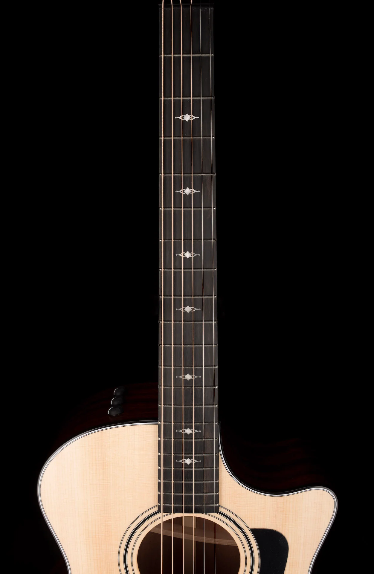 Taylor 314ce Grand Auditorium Acoustic Electric Guitar With Case - Demo - Image 13