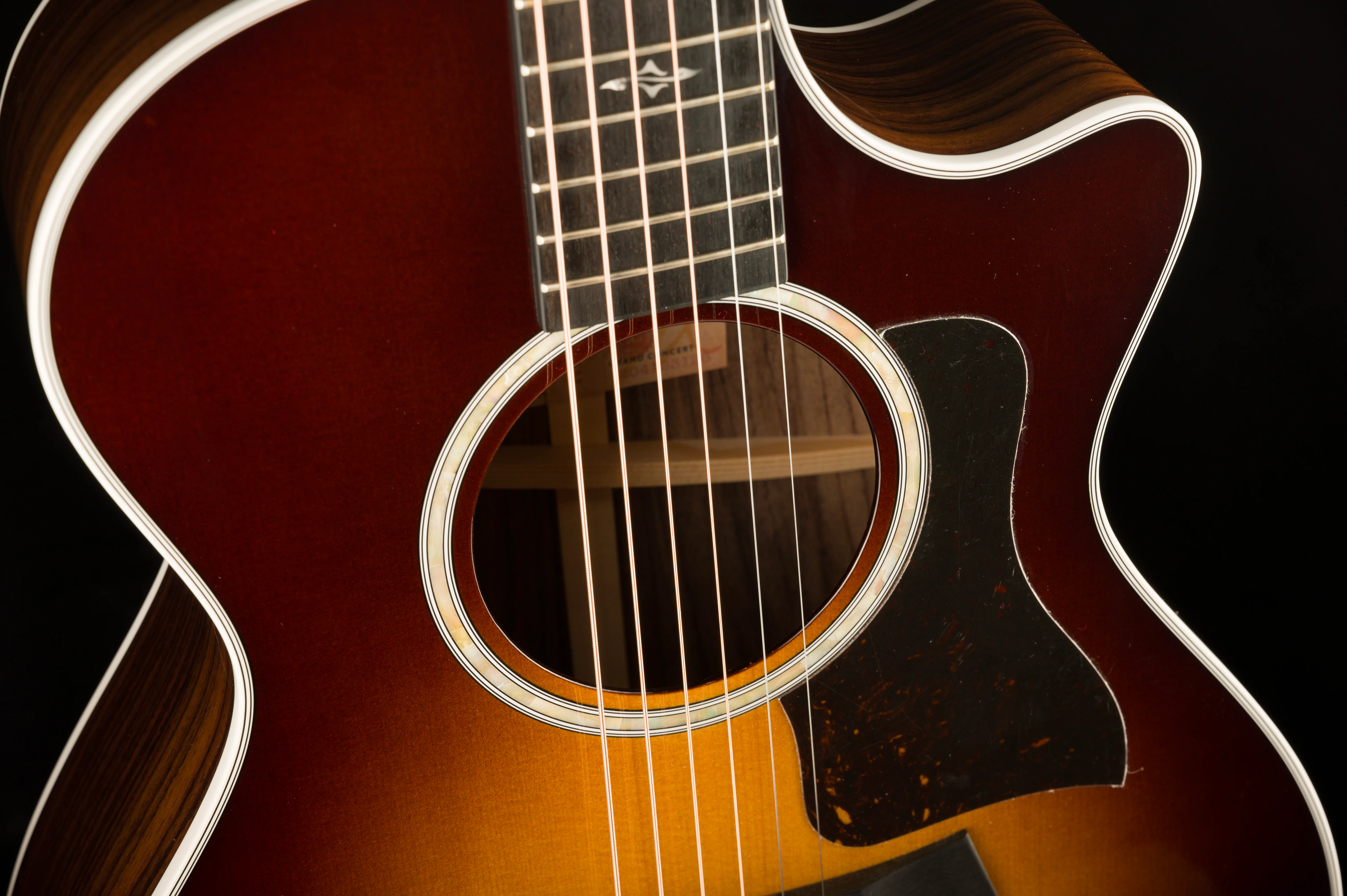 Taylor 412ce-R Grand Concert Indian Rosewood Tobacco Sunburst Acoustic Electric Guitar with Case - 1204123126 Demo - Image 8