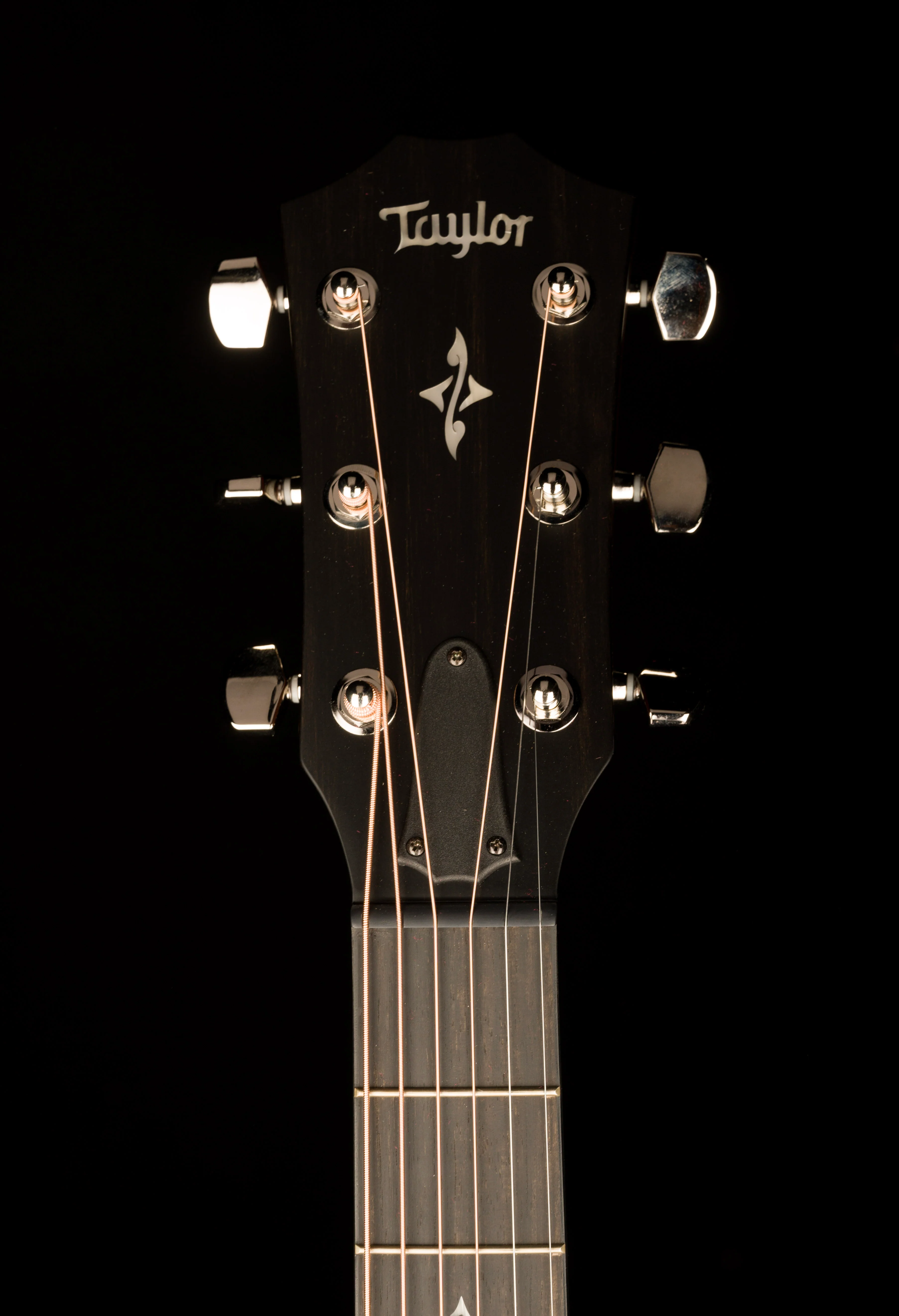 Taylor 417e-R Grand Pacific Indian Rosewood Acoustic Electric Guitar With Case - Image 14