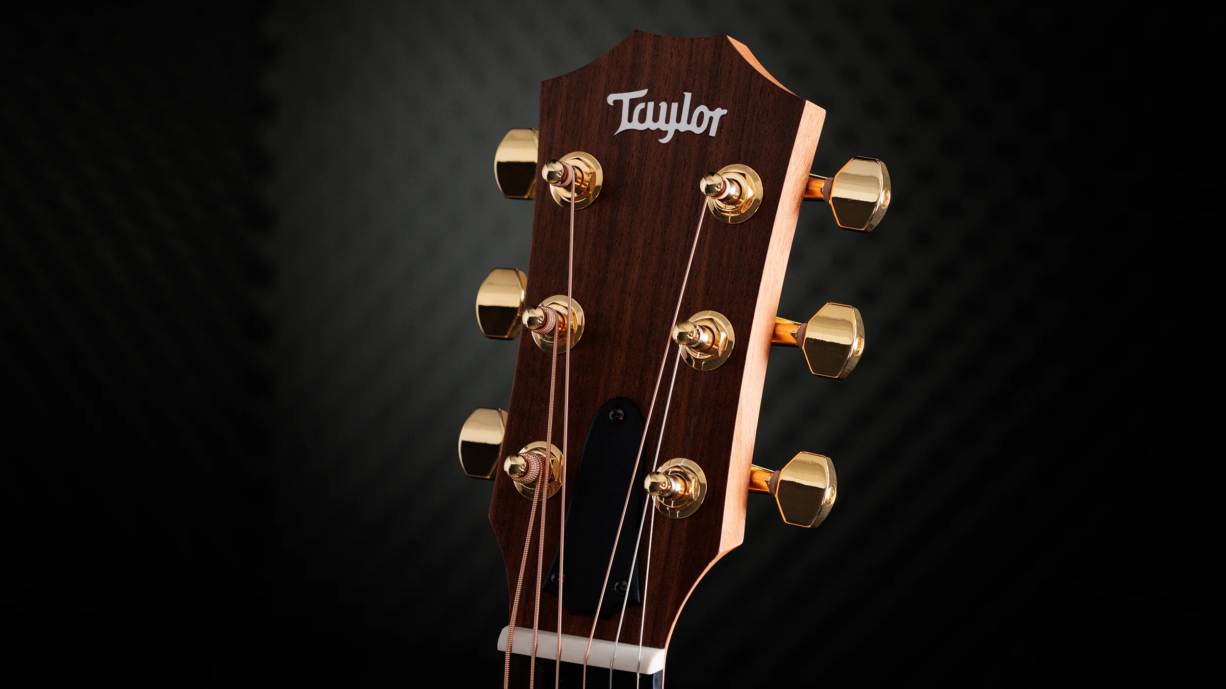 Taylor 50th Anniversary GS Mini-e Rosewood SB Acoustic Guitar With Case - Image 14