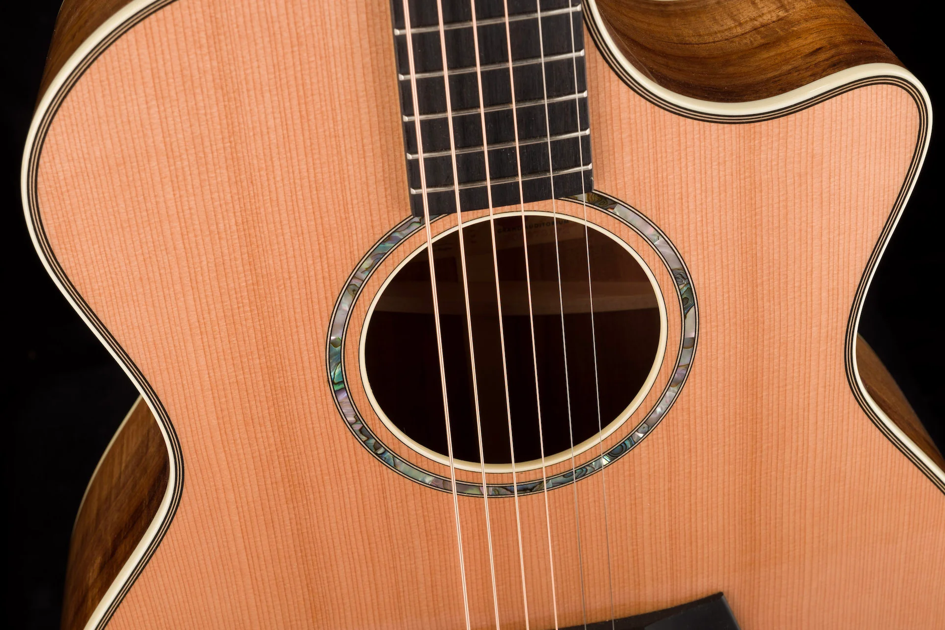 Taylor 514ce LTD Blackwood and Cedar Top (2022) Acoustic Electric Guitar With Case - Serial # 1205272172 - Image 7