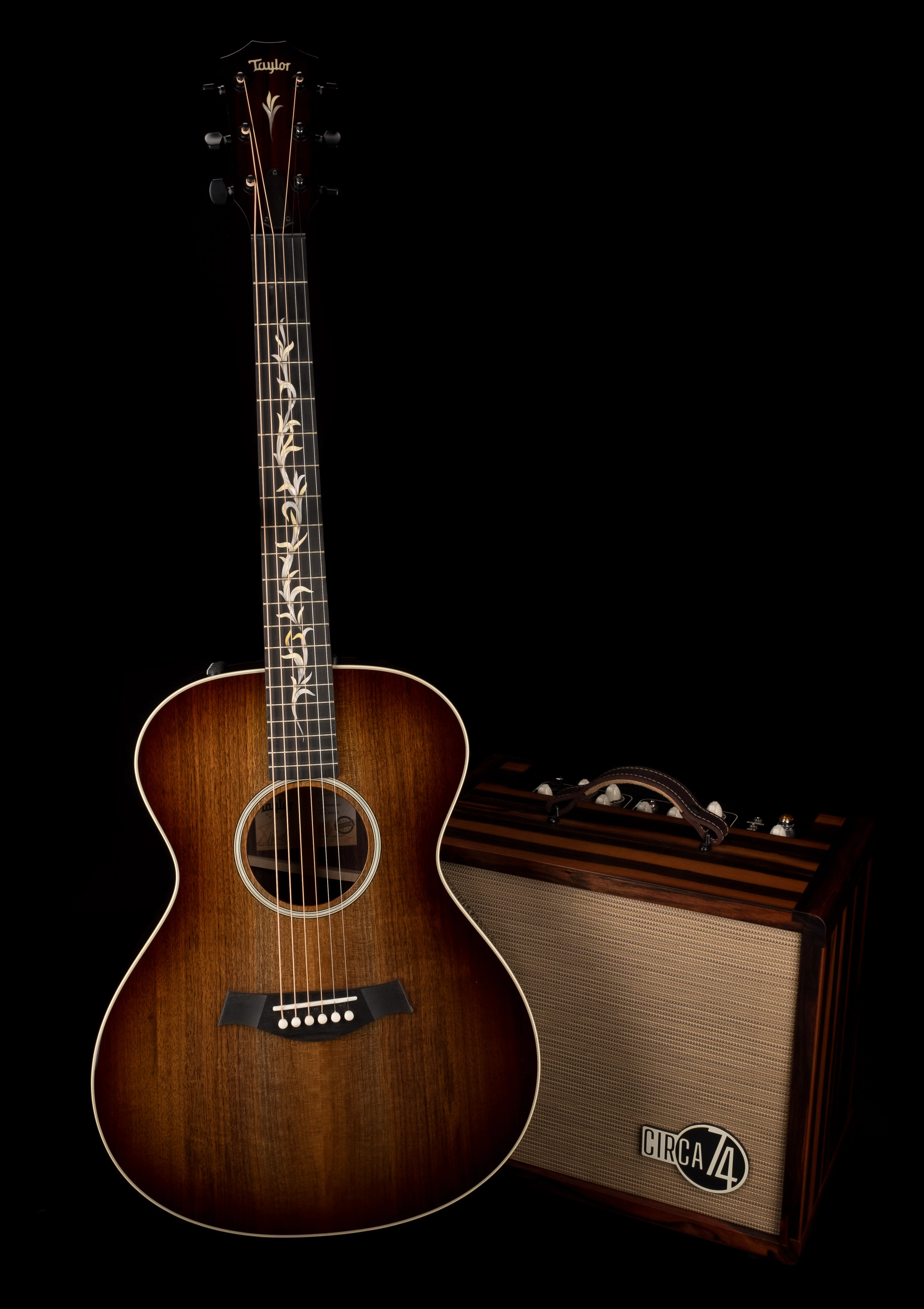 Taylor Circa 74 Limited Edition Macassar Ebony AV150-10 Acoustic Guitar Amp Combo With Stand - Image 2