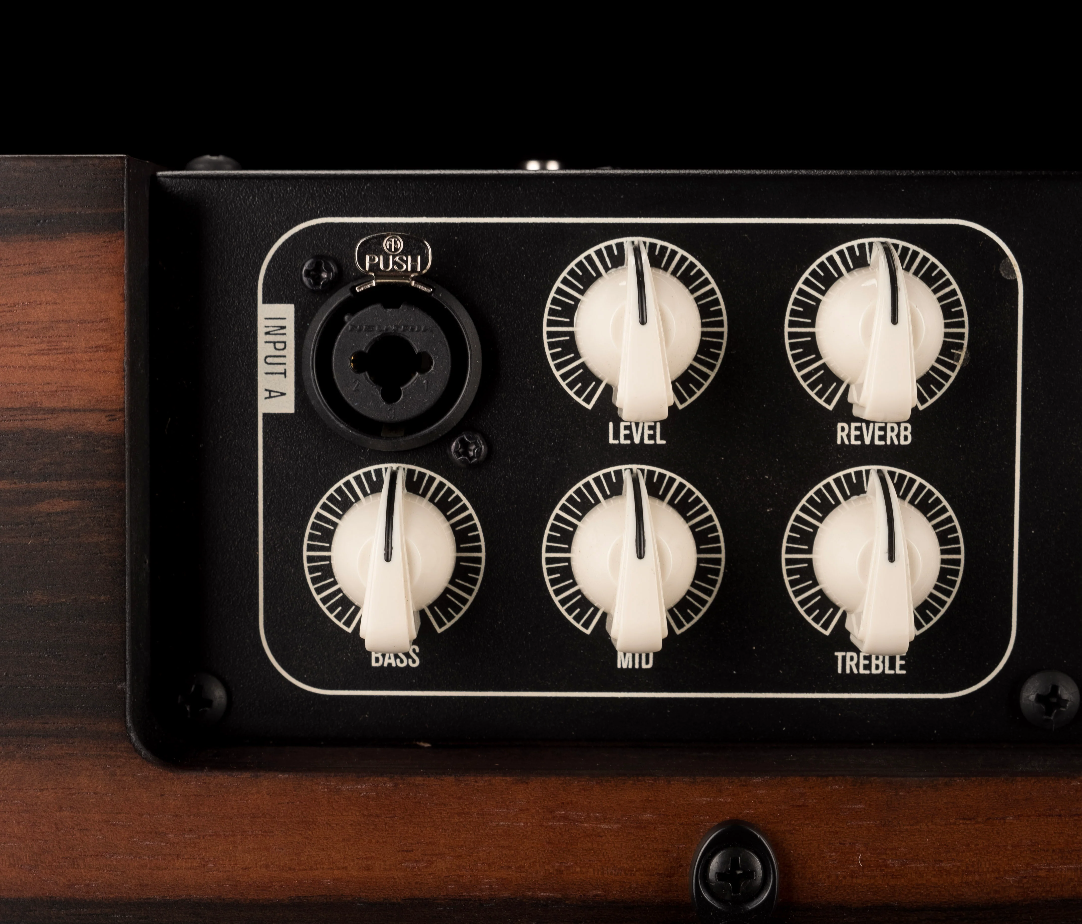 Taylor Circa 74 Limited Edition Macassar Ebony AV150-10 Acoustic Guitar Amp Combo With Stand - Image 5