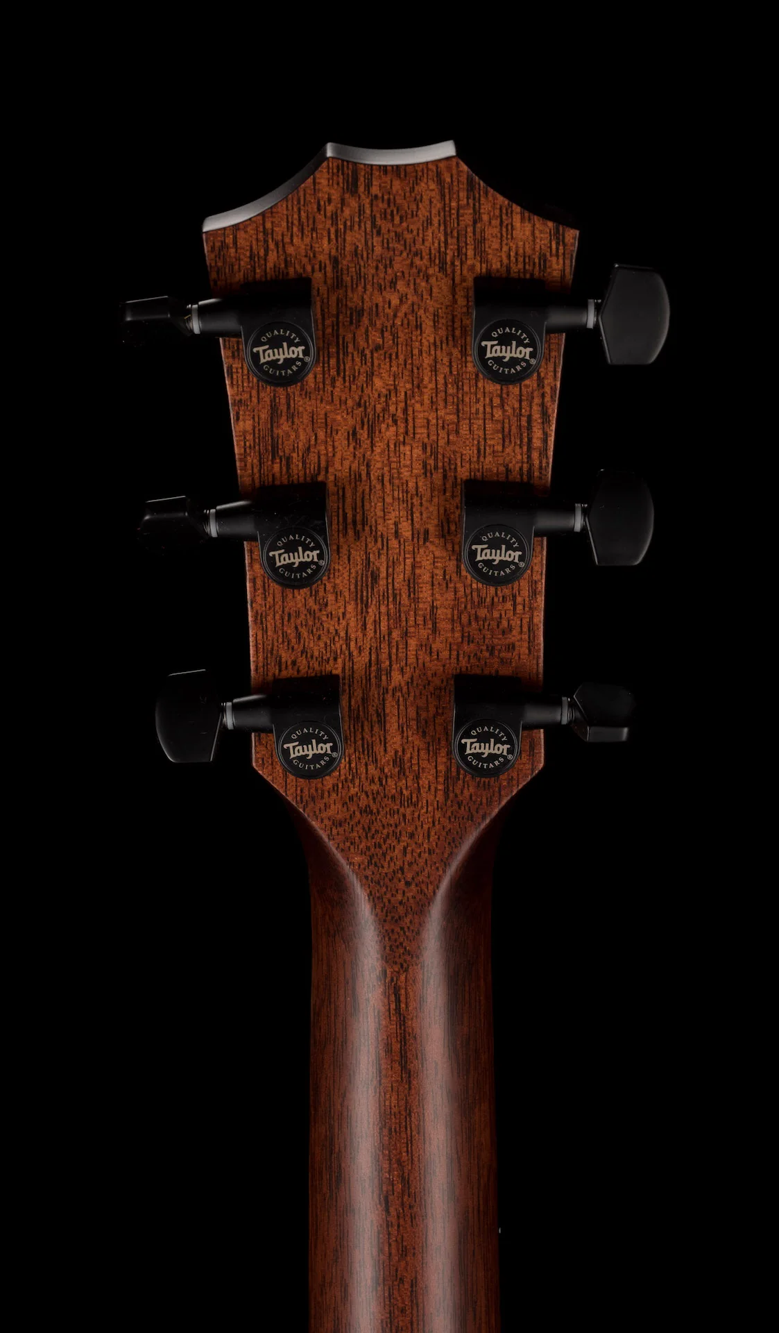 Taylor Custom Catch Event Grand Concert 12 Fret Figured Blackwood - Catch Event # 37 with Case - Image 19