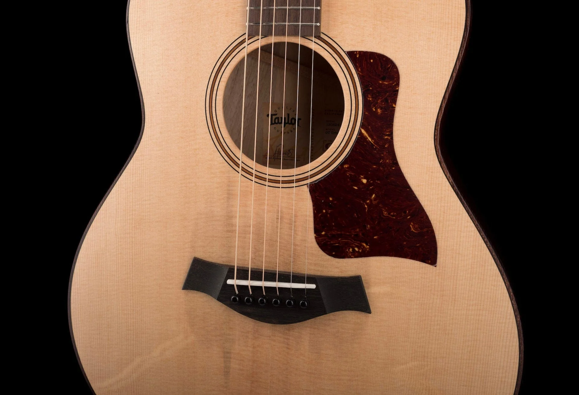 Taylor GT Urban Ash Acoustic Guitar With Aerocase - Image 5