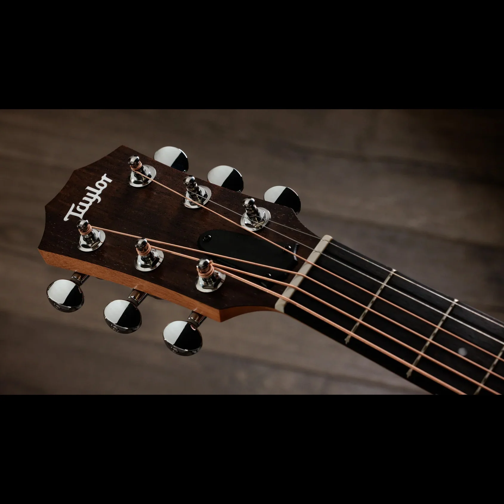 Taylor Special Edition Guitars 4 Vet GS Mini Americana with Gig Bag - Image 6
