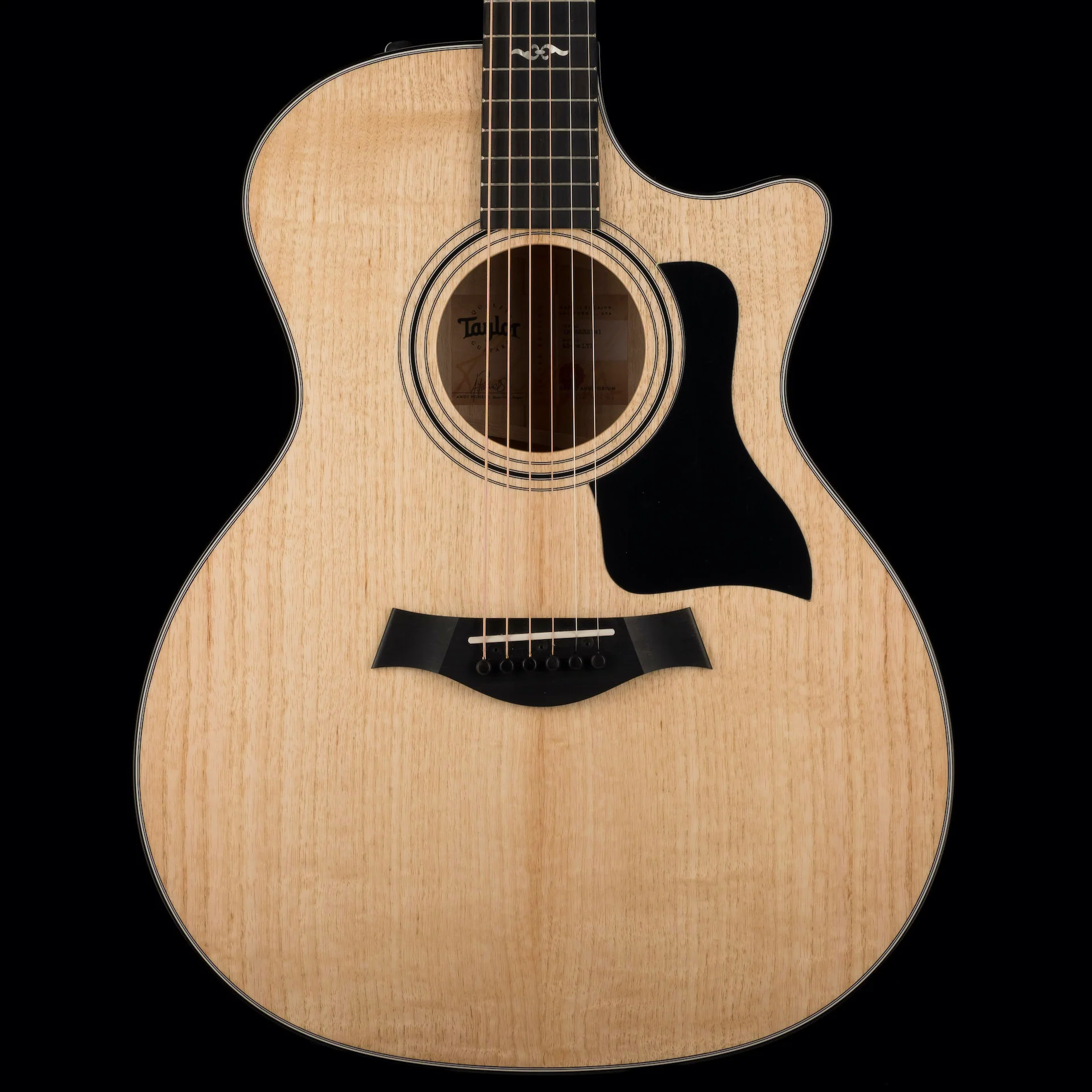 Taylor Urban Ash 424CE LTD Acoustic Electric Guitar With Case