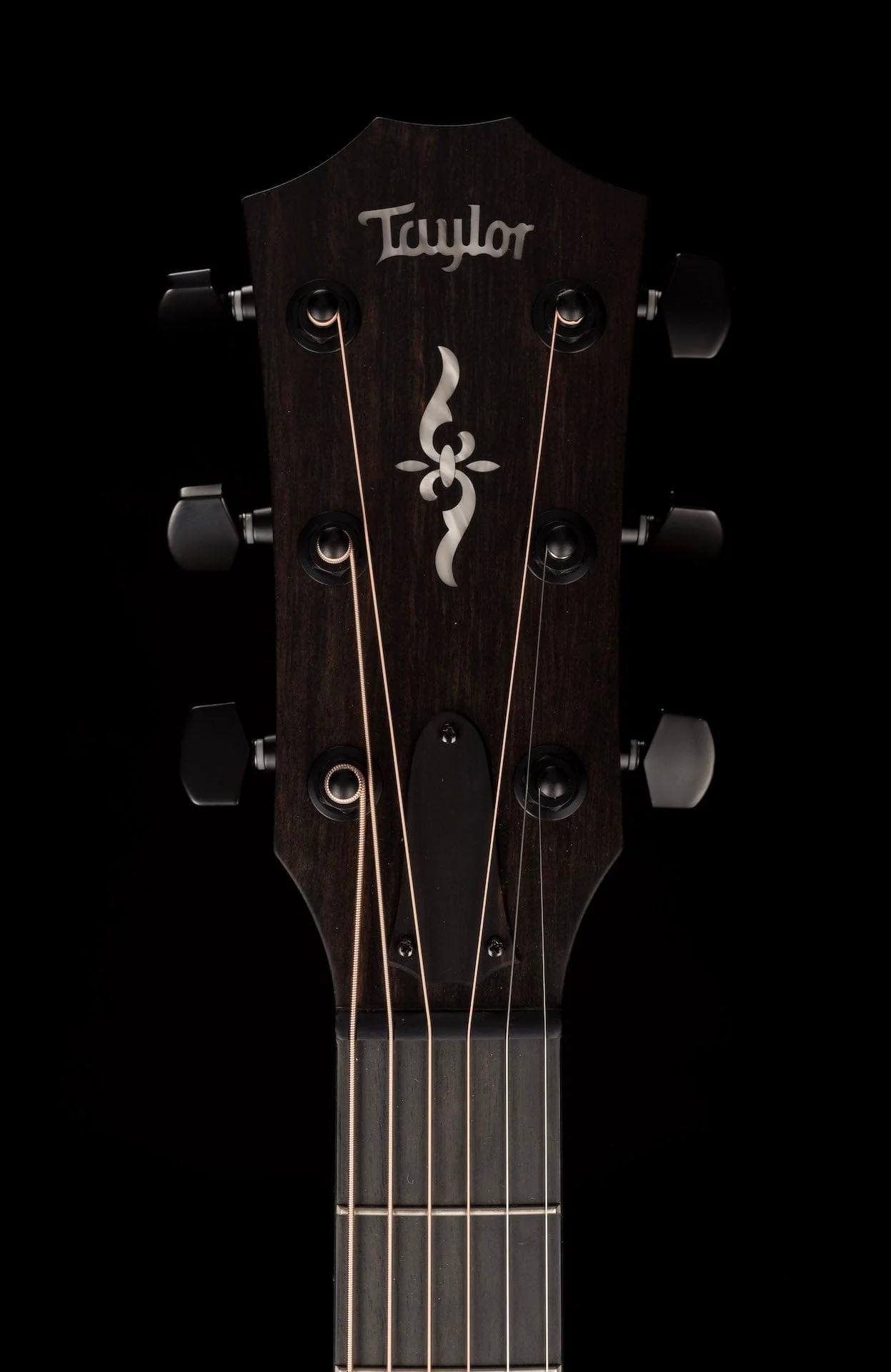 Taylor Urban Ash 424CE LTD Acoustic Electric Guitar With Case - Image 17
