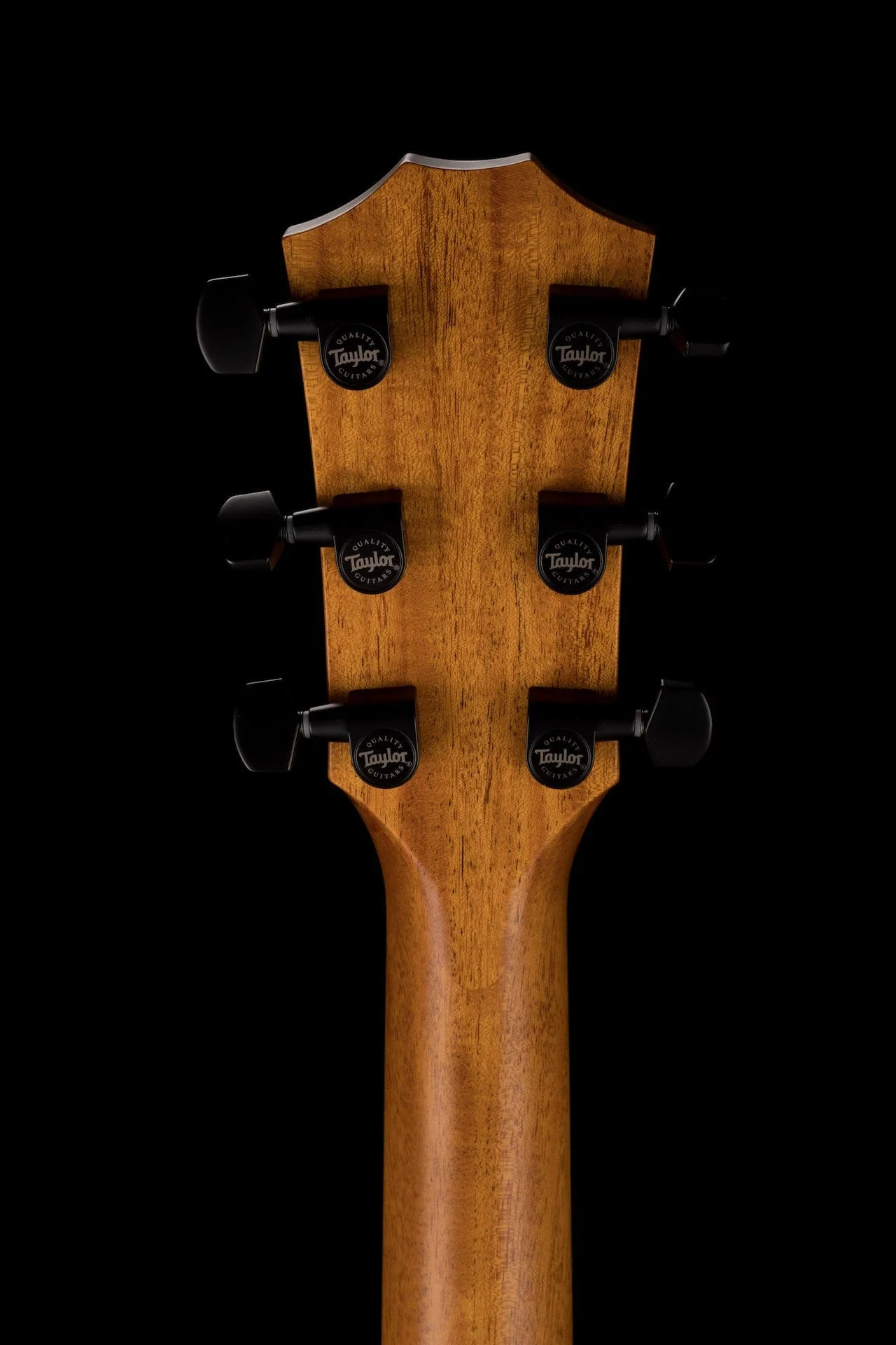 Taylor Urban Ash 424CE LTD Acoustic Electric Guitar With Case - Image 18