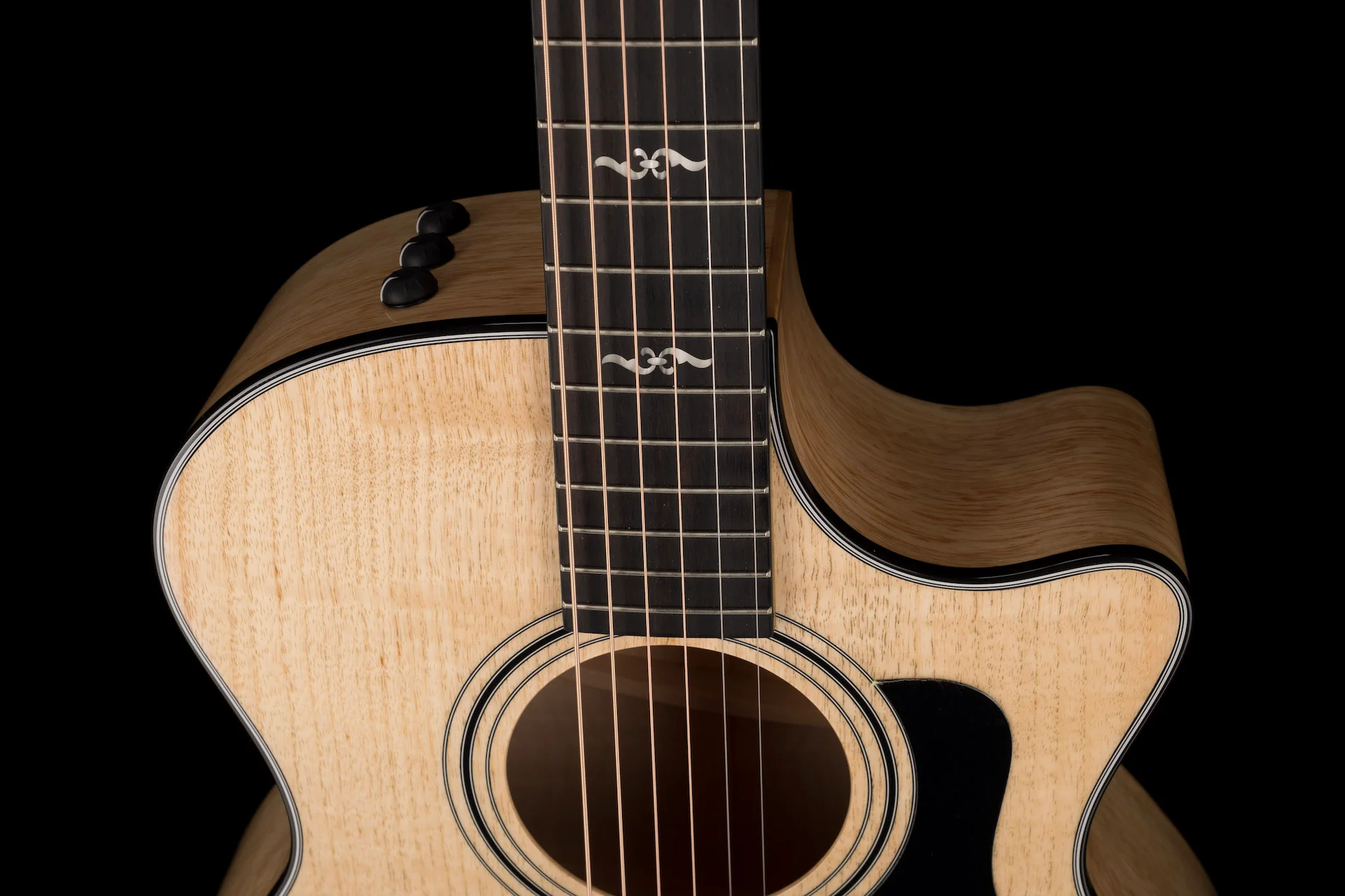 Taylor Urban Ash 424CE LTD Acoustic Electric Guitar With Case - Image 3