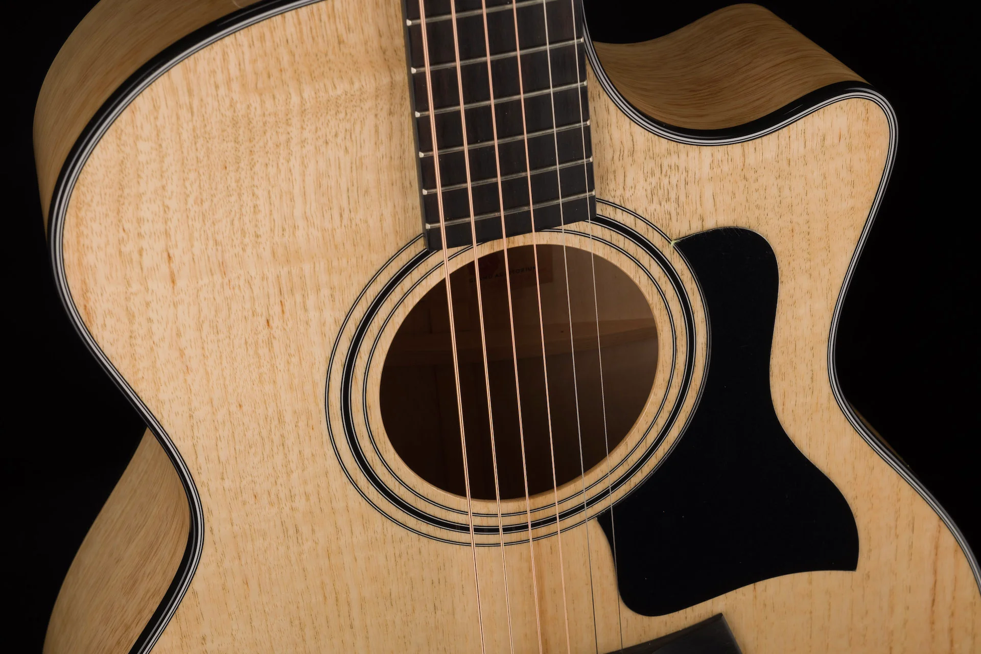 Taylor Urban Ash 424CE LTD Acoustic Electric Guitar With Case - Image 7