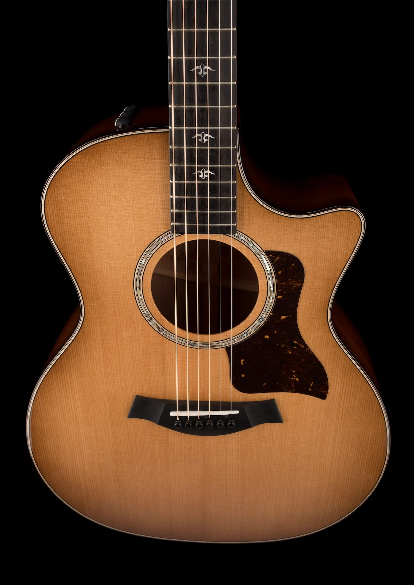 Taylor Urban Ironbark 514ce Acoustic Electric Guitar With Case - Demo - Image 5