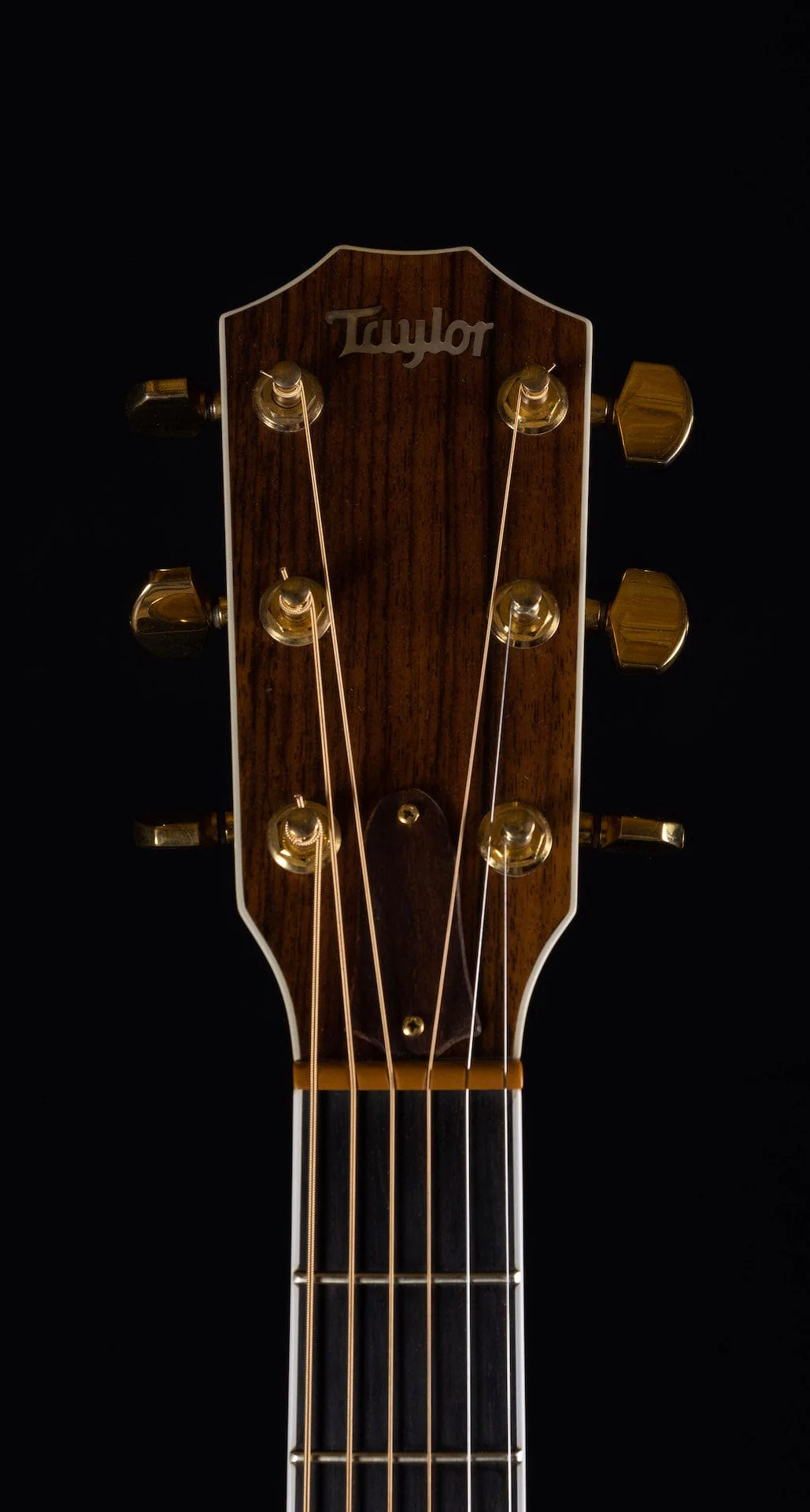 Vintage 1989 Taylor 815 Jumbo Acoustic Natural With OHSC - Image 15