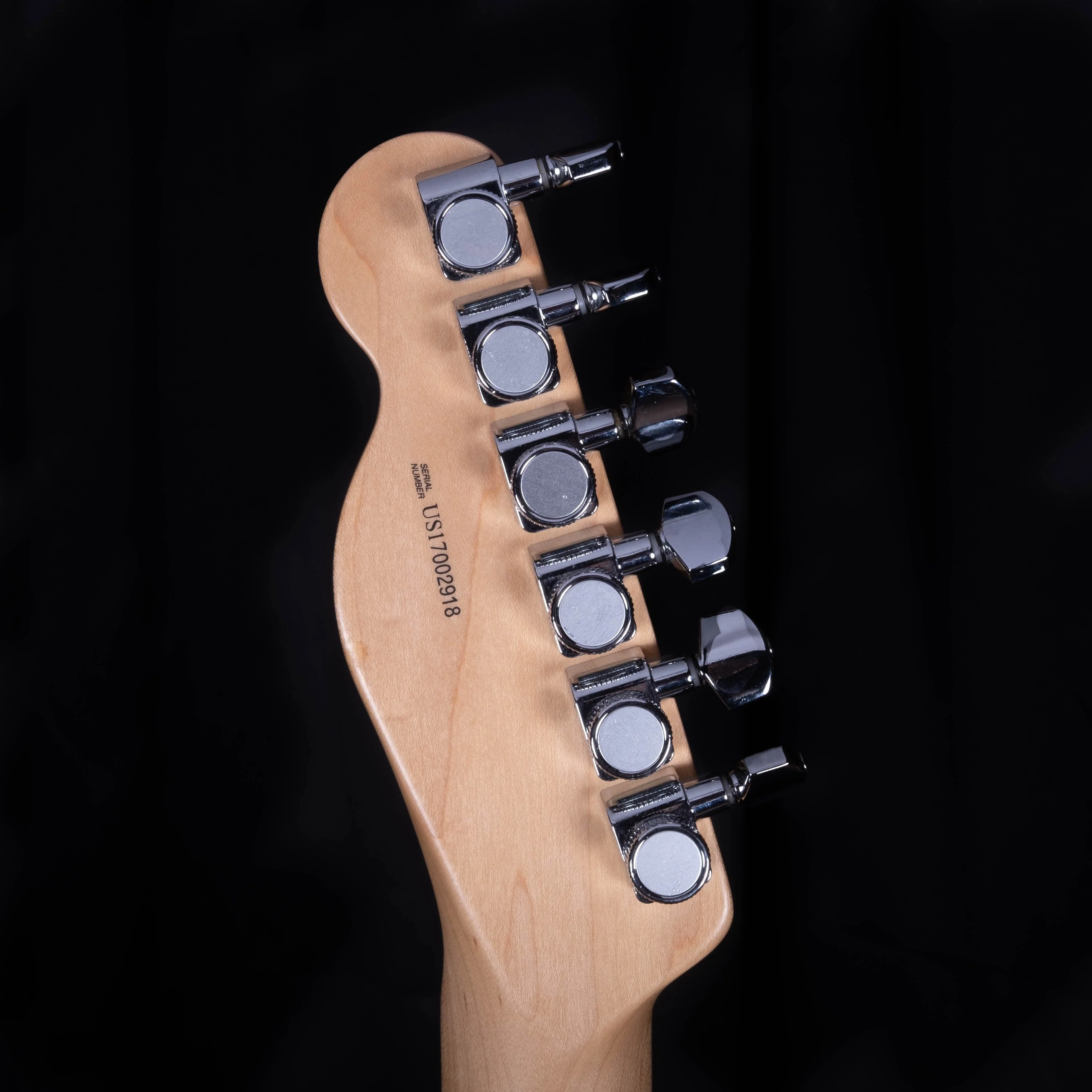 Used Fender Thinline Telecaster Partscaster US Neck Mahogany Fender Body - Image 13