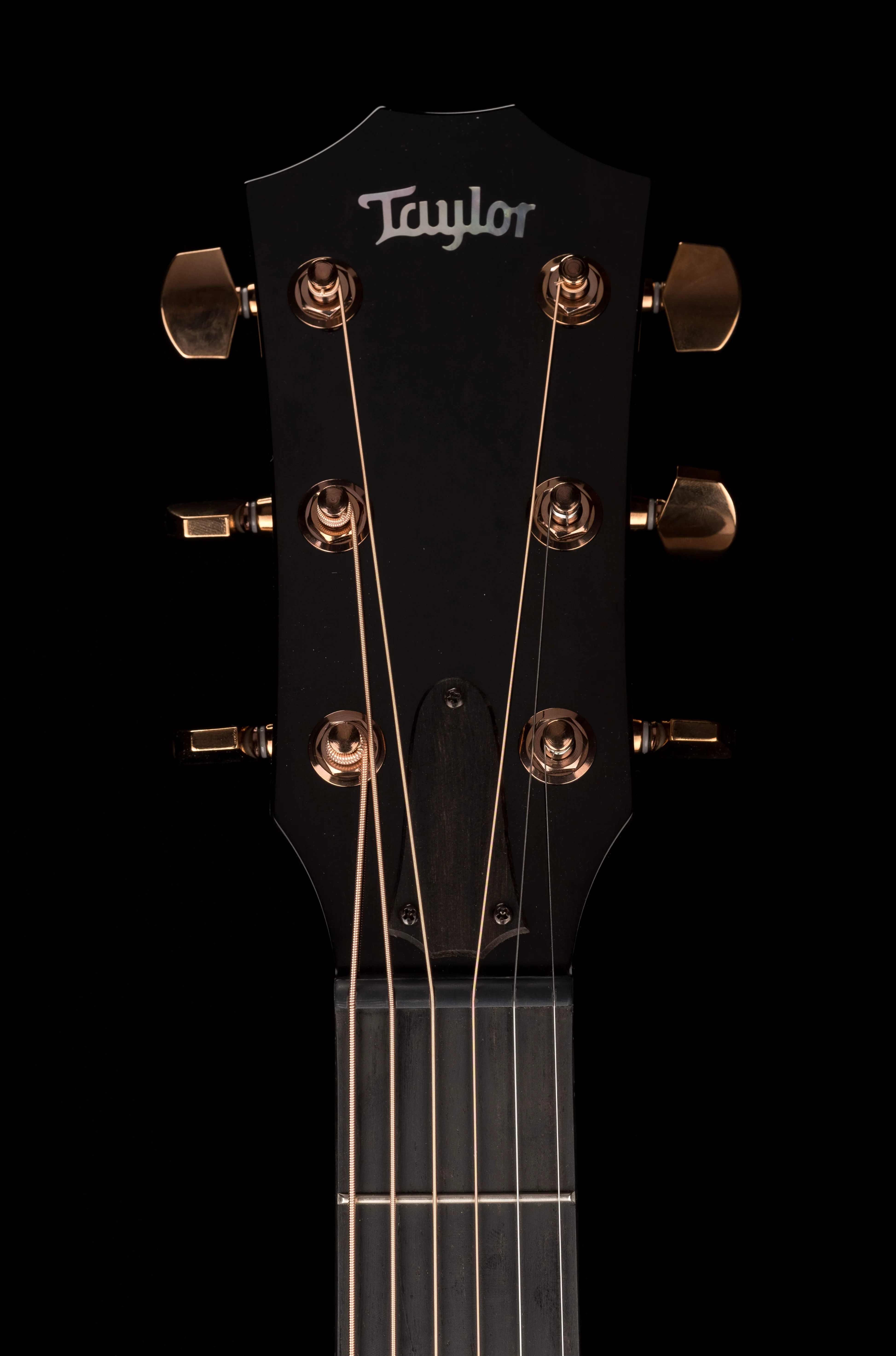 Used Taylor Custom Grand Auditorium C14ce Whitepearl Burst Catch Event # 22 With Case - Image 17