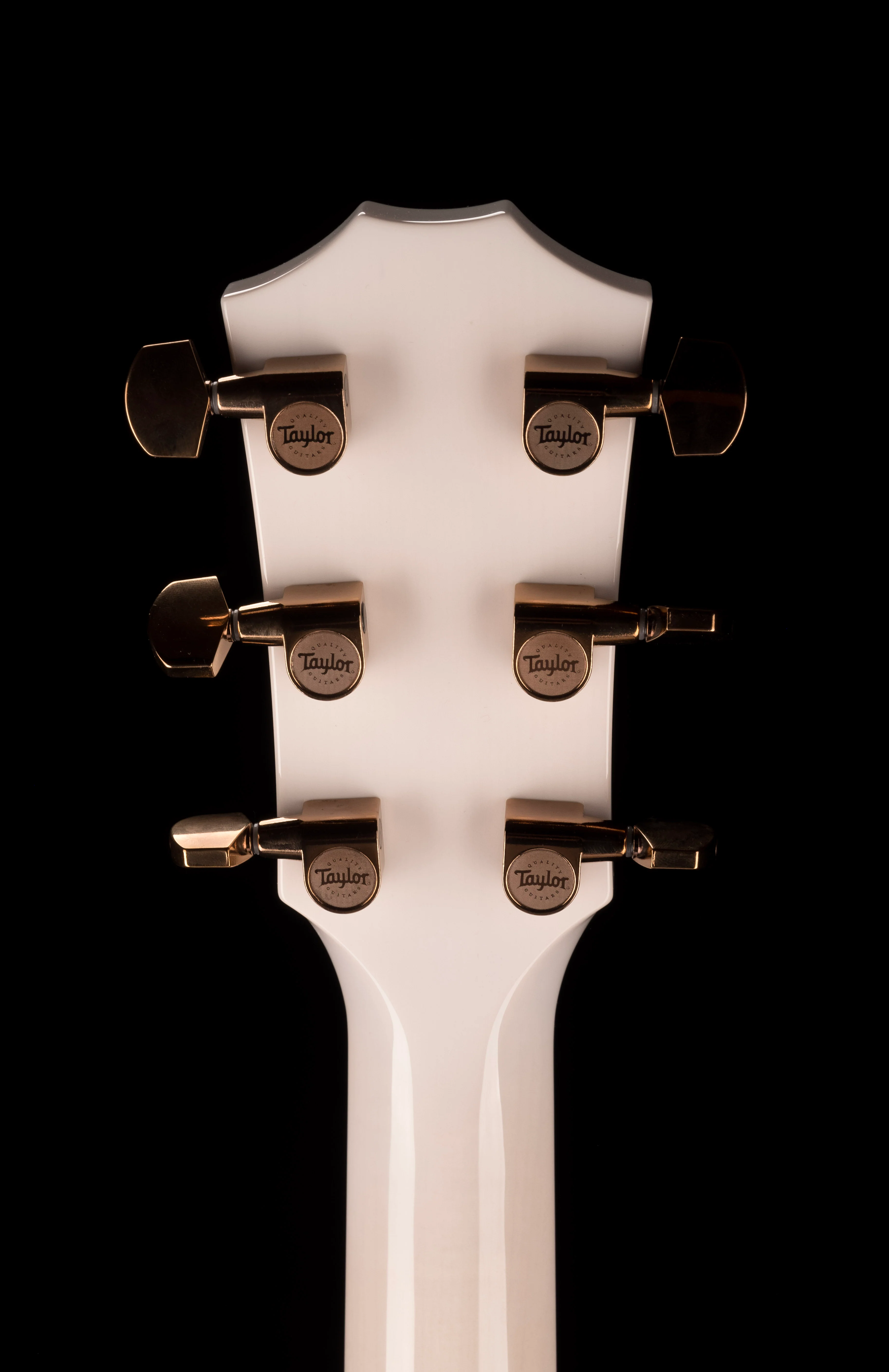 Used Taylor Custom Grand Auditorium C14ce Whitepearl Burst Catch Event # 22 With Case - Image 18